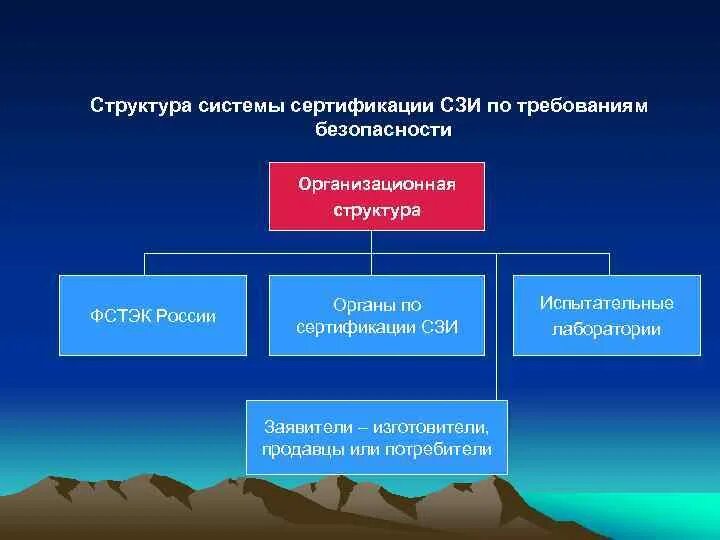 Структура системы сертификации. Структура системы сертификации
