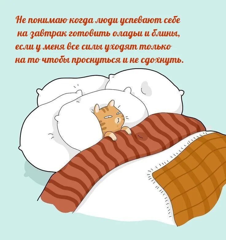 Сон иллюстрация. Как спалось юмор. Как спалось юмор. Как спалось юмор. Ты спишь картинки смешные.