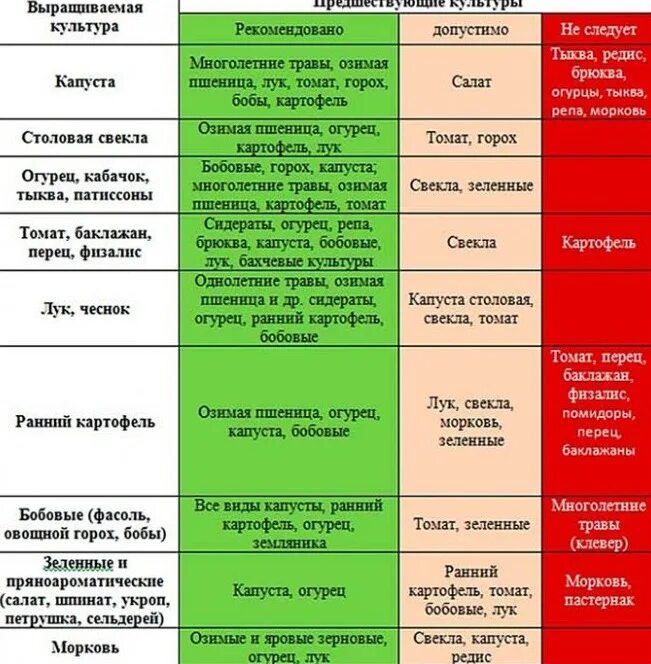 Сажают ли свеклу после моркови. После чего сажать лук таблица севооборота. Таблица севооборота предшественники и последователи. Таблица очередности посадки овощных. Таблица севооборота овощных культур и сидератов.