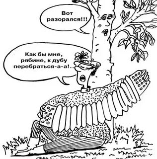К дубу перебраться
