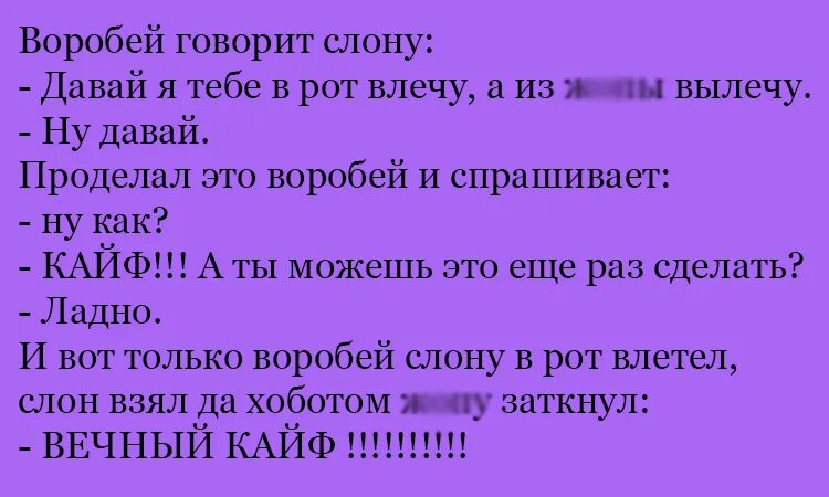 анекдот про птичку. ржачные карикатуры. ничто не воробей кроме воробья. прикол про дачу мошенники. анекдот про воробья.