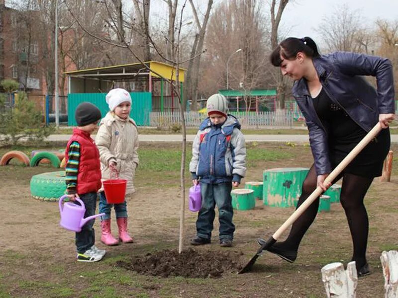 Труд в природе в детском саду. Труд детей в природе в детском саду. Труд на участке в детском саду. Посадка деревьев в детском саду.