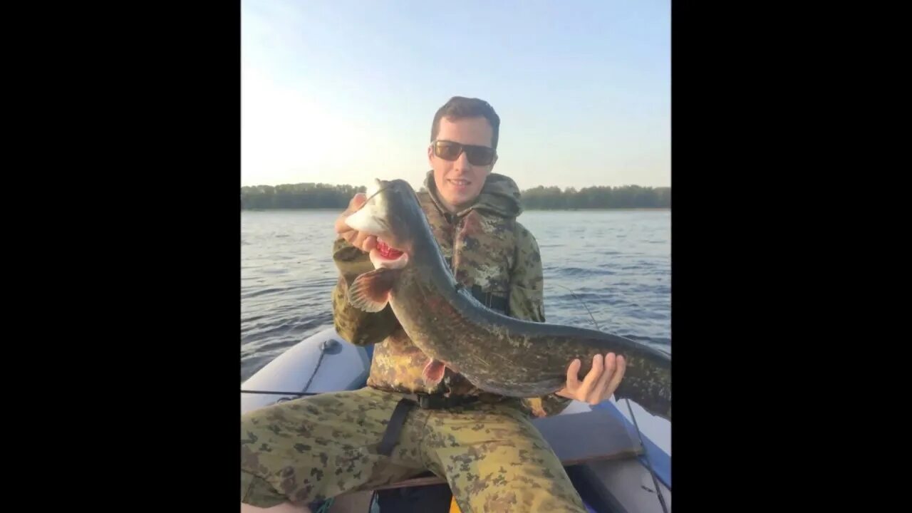 Рыбалка рыбинские буды. Яузское водохранилище рыбалка. Карась в подмосковье. Окунь рыбинское водохранилище. Рыбалка рыбинские буды.