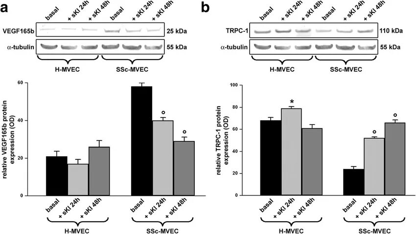 VEGF 165 165 что значит. Expression levels