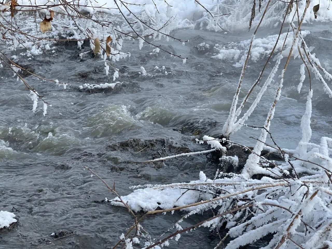 Скотохранилище в челябинске обнаружили. Шершнёвское водохранилище челябинск загрязнение. Сосновские очистные сооружения челябинск. Южуралводоканал. Южуралводоканал.