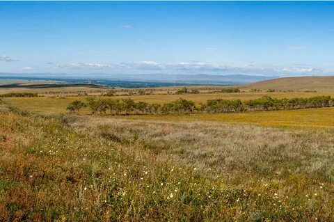 Степные районы крыма