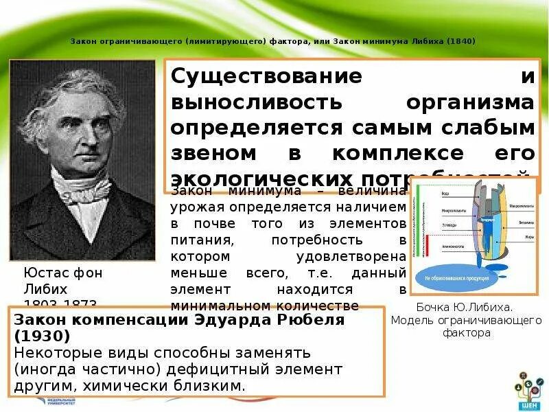 Закон ограничивающего фактора кратко. Юстус Либих лимитирующий фактор. Закон лимитирующего фактора ю. Либиха. Бочка Либиха и лимитирующие факторы. Закон ограничивающего фактора примеры.