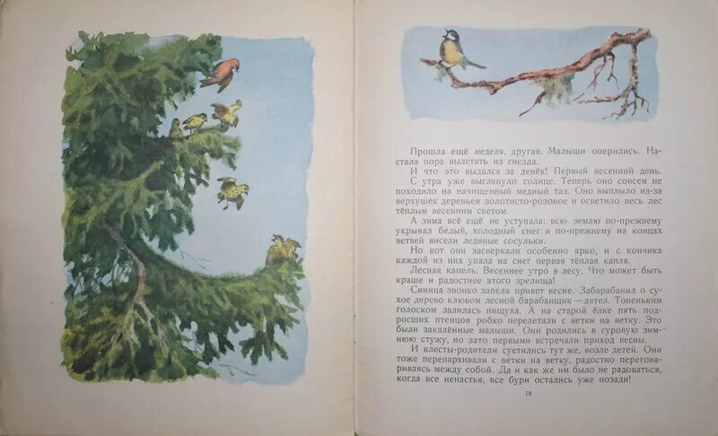 Скребицкий весенняя песня чья песня прогнала зиму. Скребицкий аистята план. скребицкий весне навстречу.
