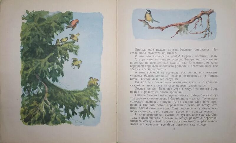 Весне навстречу — Скребицкий г.. Г Скребицкий про мальчика и дуб. Скребицкий весенняя песня 2 класс читать