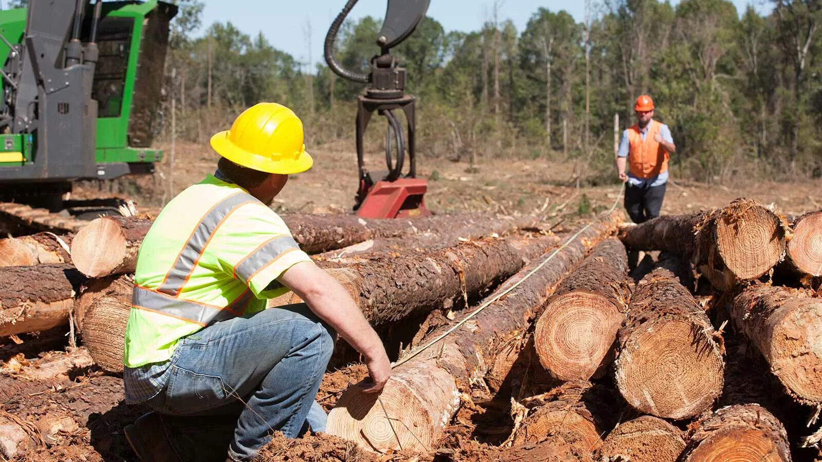 Logs posting. John Deere 2154g. Waratah 622b. Logging Companies предложения. Tree Logger.
