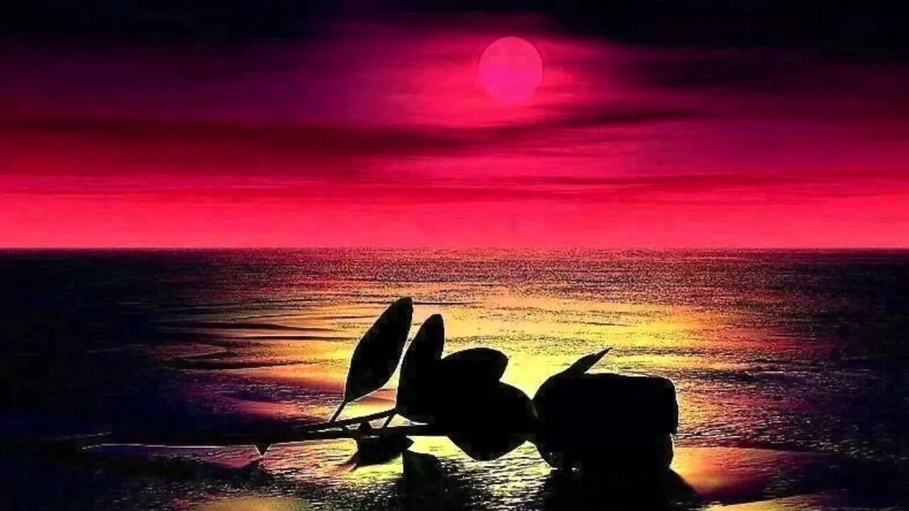 Розов всего одна ночь. Море цветы ночь. Розы море закат. Лунный закат. Ночь в море.