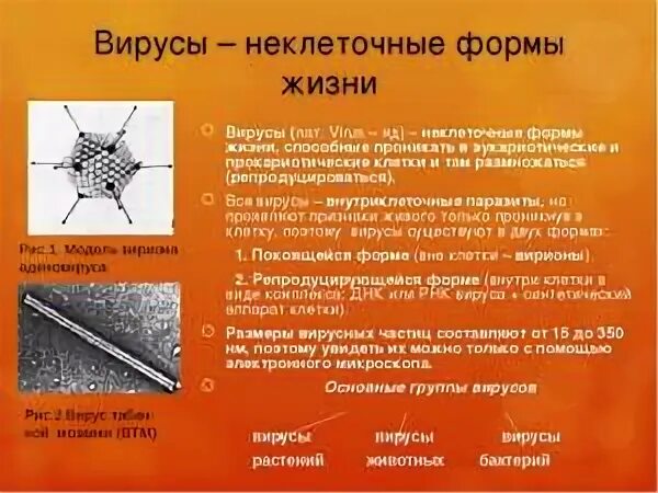 Вирус является формой жизни. Неклеточныемформы жизни. Неклеточные формы жизни. Вирусы неклеточные формы. Вирусы как неклеточная форма жизни.