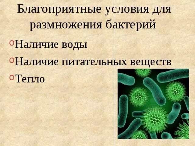 Биологии бактерии 9. Бактерии биология. Строение и жизнедеятельность бактерий. Строение и жизнедеятельность бактерий. Размножение бактерий.. Бактерии 5 класс биология.