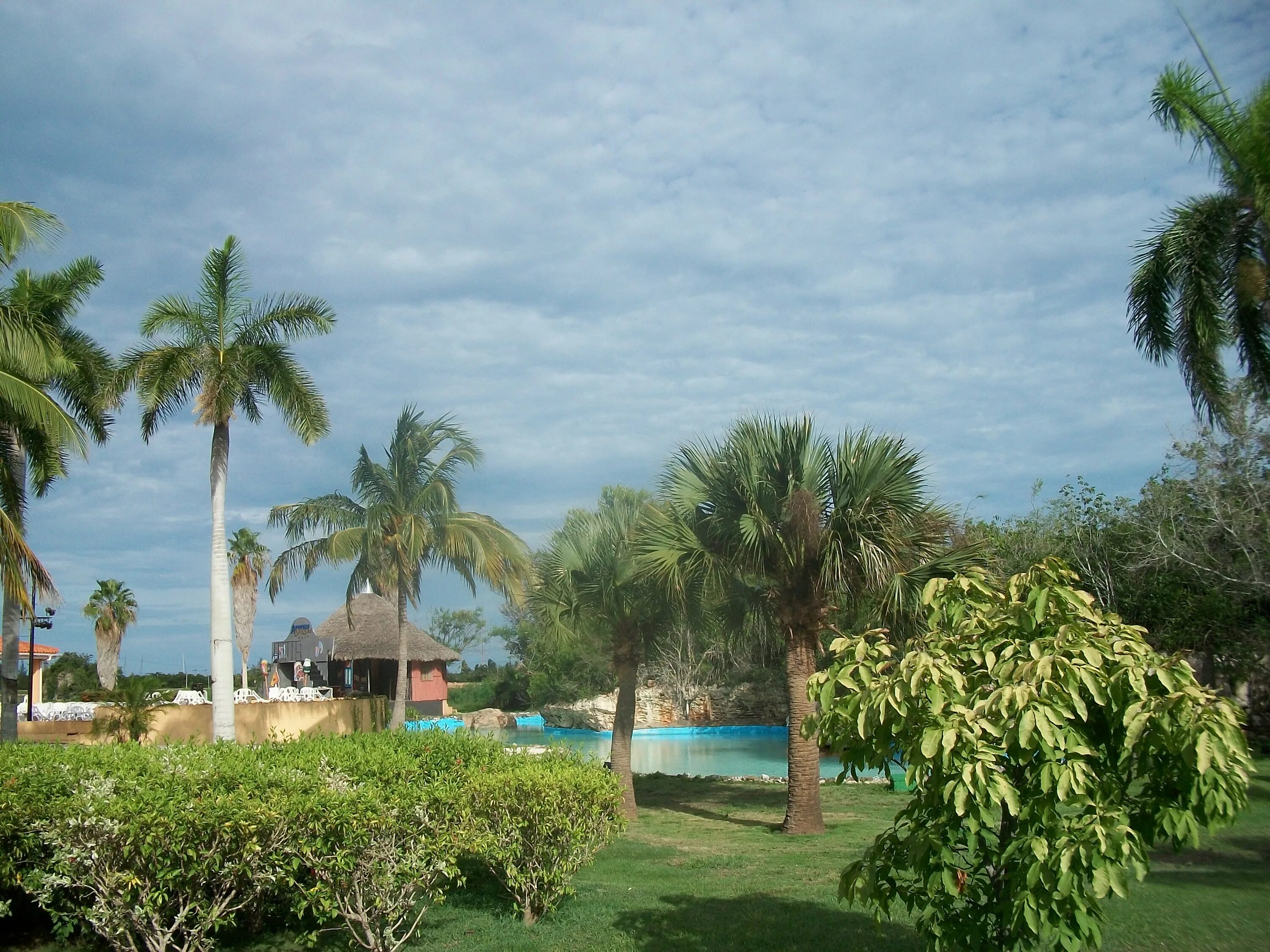 Arenas doradas 4 варадеро. Куба отель аренас дорадос. Аренас дорадос варадеро куба отель. Отель рок аренас дорадос варадеро. Roc arenas doradas варадеро варадеро.