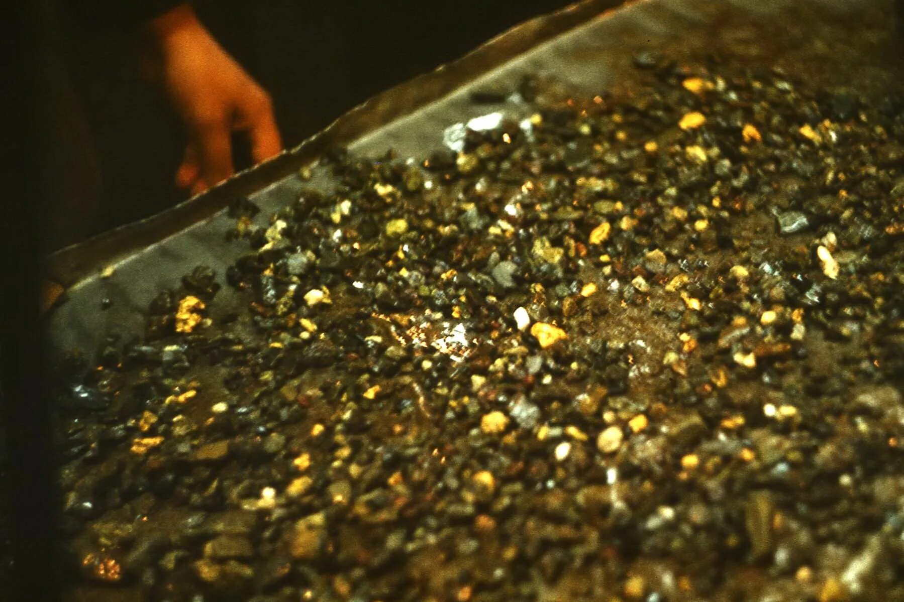 Плотный золото. Турмалин в шлихе. Пирит в шлихе. Шлиховой ореол золота что это такое. Россыпное золото.