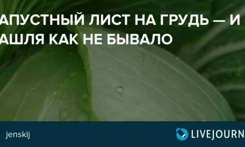 Капустный лист на молочную железу