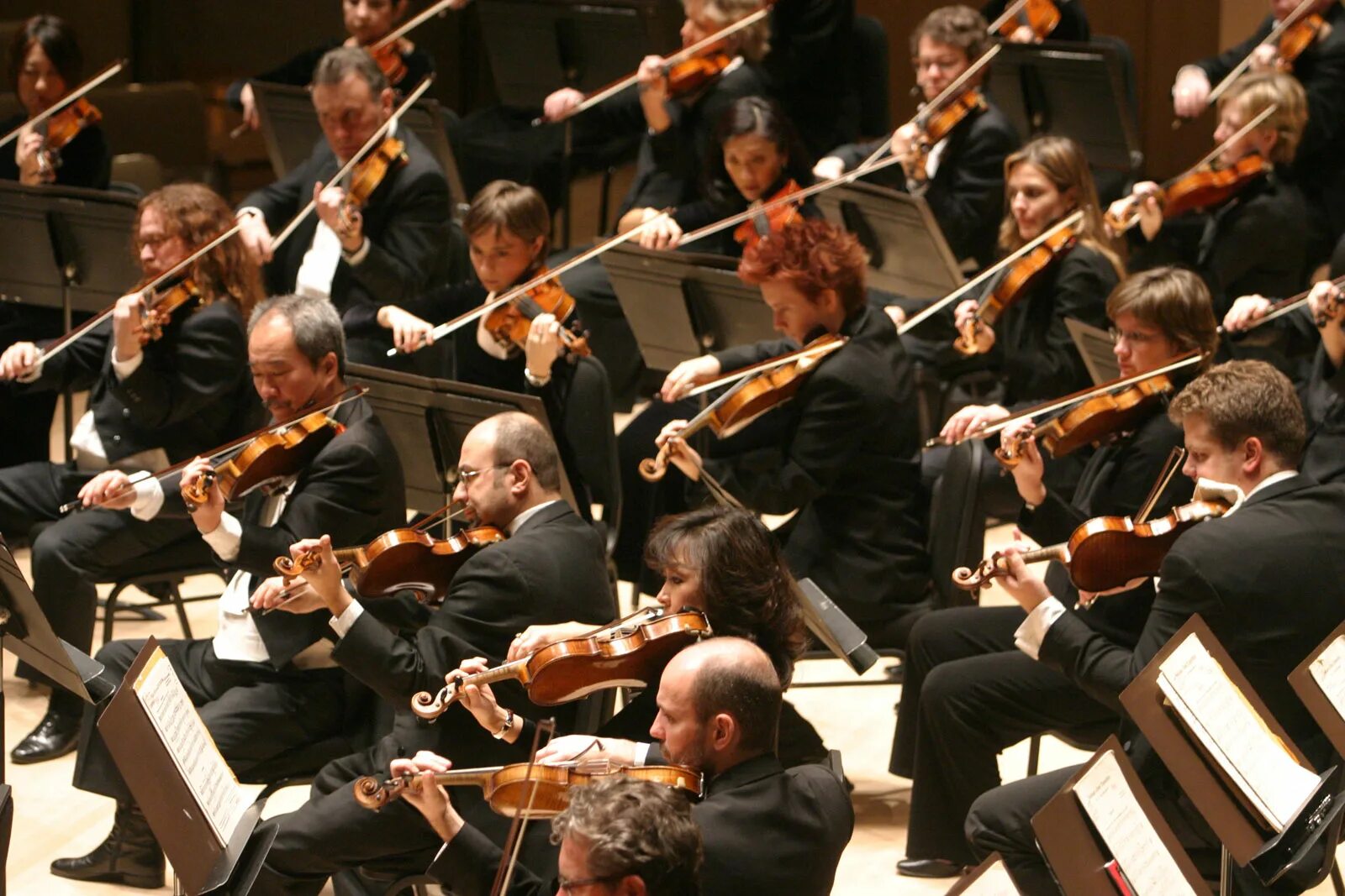 Классик современности. Берлинского филармонического оркестра (Berliner Philharmoniker). Берлинский филармонический оркестр 2022 Кирилл Петренко. Исполнение Чайковского Берлинский филармонический оркестр. Классический оркестр.