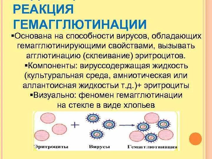 Гемагглютинация это