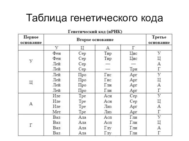 Длина генетического кода. Генетический таблица генетического кода. Биология таблица генетического кода. Таблица генетического кода ИРНК. Таблица генетического кода ЕГЭ биология.