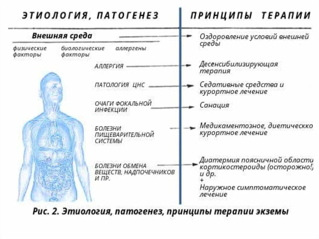 Экзема этиология. Экзема этиология патогенез. Патогенез экземы схема. Экзема механизм развития. Сама причина болезни