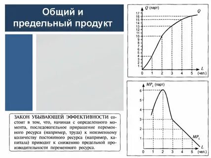 Общий продукт это