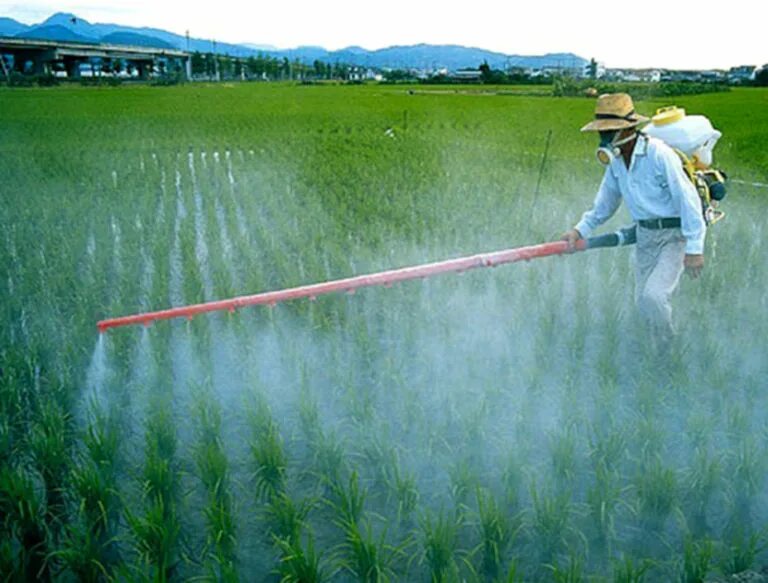 Удобрения и пестициды. Пестициды и гербициды. Синтетические пестициды. Минеральные удобрения и ядохимикаты. Загрязнение почв удобрениями