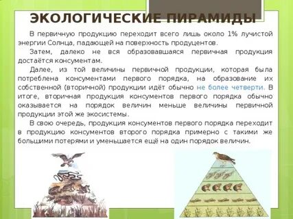 Объяснить перейти