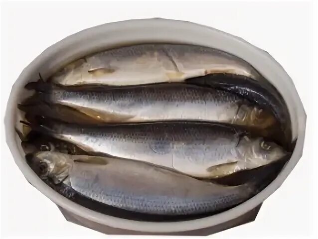 сельдь fish house 400г филе кусочки. сельдь царская, филе-кусочки, в масле; в укропном соусе, тесей, 400 г. сельдь vici любо есть оригинальная 400г. селедка 400 грамм. тесей пресервы 400 грамм.