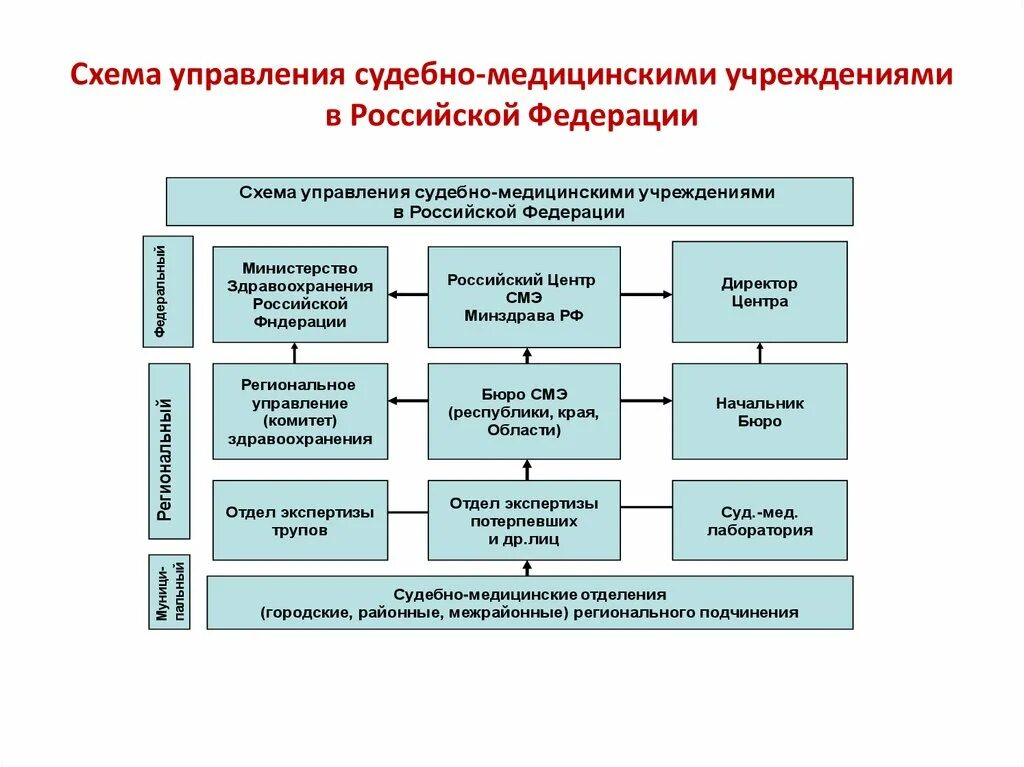 Организация судебно-медицинской экспертизы в РФ. Схема организации судебной медицинской службы. Отделы судебной медицины. Учреждение судебной экспертизы. Медицинские экспертные учреждения