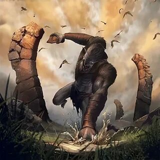 Elder r