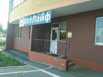Оазис брянск ветеринарная