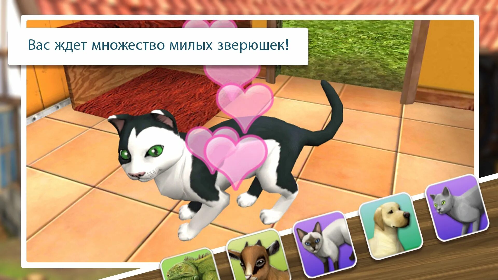 PETWORLD приют для животных. Игра петс 5. Симулятор приюта для животных. Игра my animal Shelter.