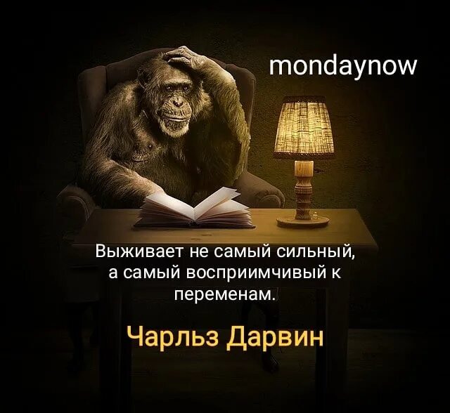 Выживает не самый сильный и умный. Выживает не самый сильный, а самый восприимчивый к переменам.. чарльз дарвин выживает не самый. выживает не самый сильный а самый чарльз дарвин. дарвин о мышлении животных.