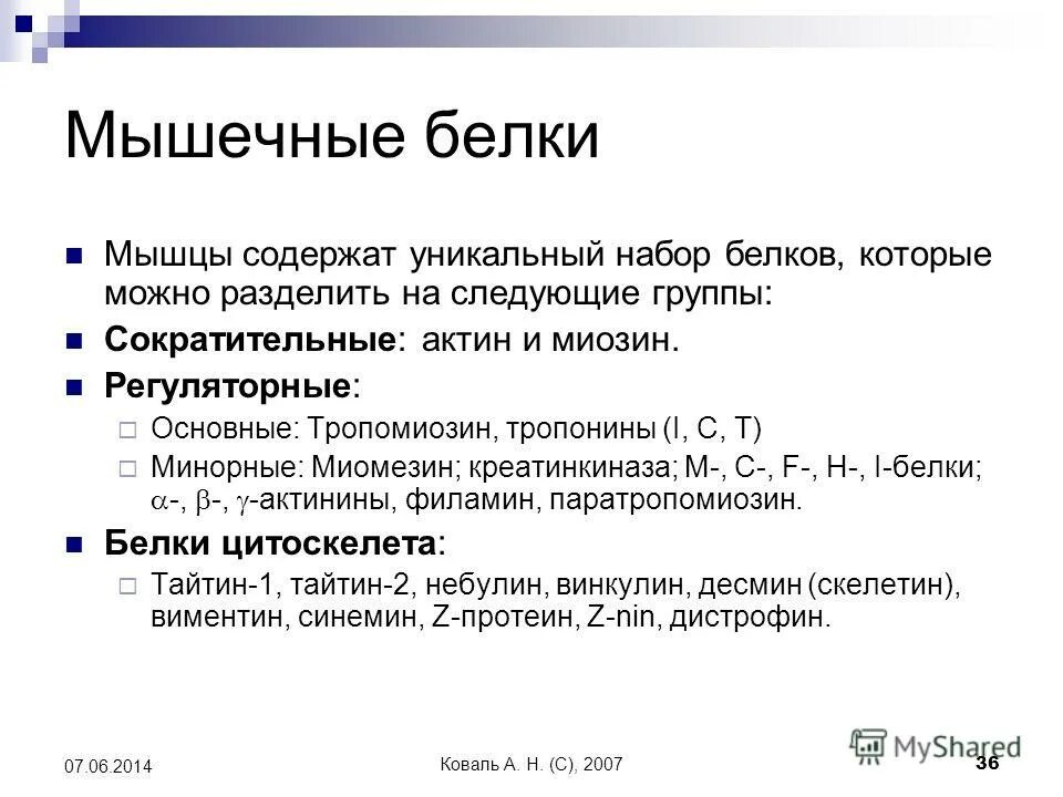 Строение мышечных волокон сарколемма саркоплазма. В сокращении мышечных волокон участвуют белки. Белковый состав мышечной ткани. Спортивные добавки. Мышечный белок 5.