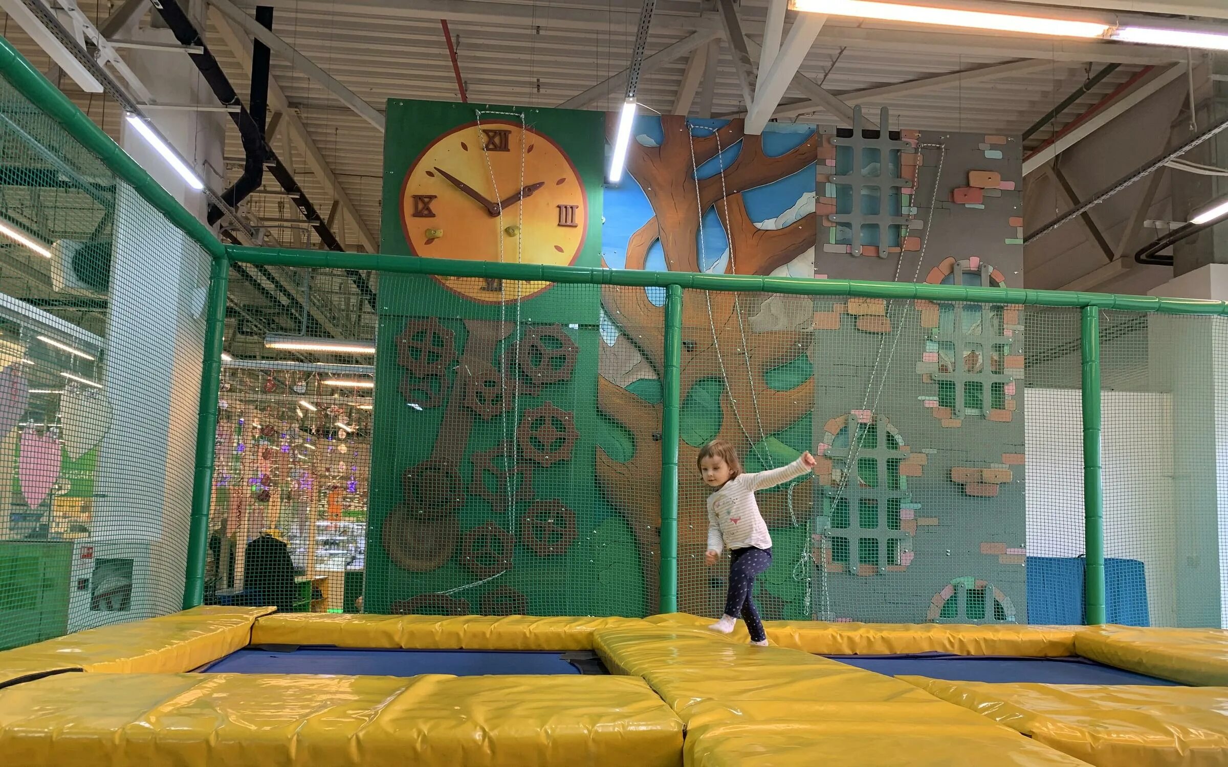 Развлечения в вологде. Батутный центр вологда конева 15. Развлечения в вологде. Музей науки вологда. Развлечения в вологде.