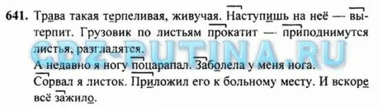 Домашнее задание русский язык 3 класс рамзаева. Русский язык 5 класс упр 641. Упр 641. Русский язык 3 класс Рамзаева 677 гдз. Вставь пропущенное слово трава такая терпеливая живучая.