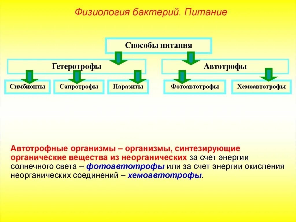 Автотрофные прокариоты. Физиология бактерий питание. Питание бактерий гетеротрофов схема. Способ питания бактерий сапротрофы. Автотрофы и сапротрофы.