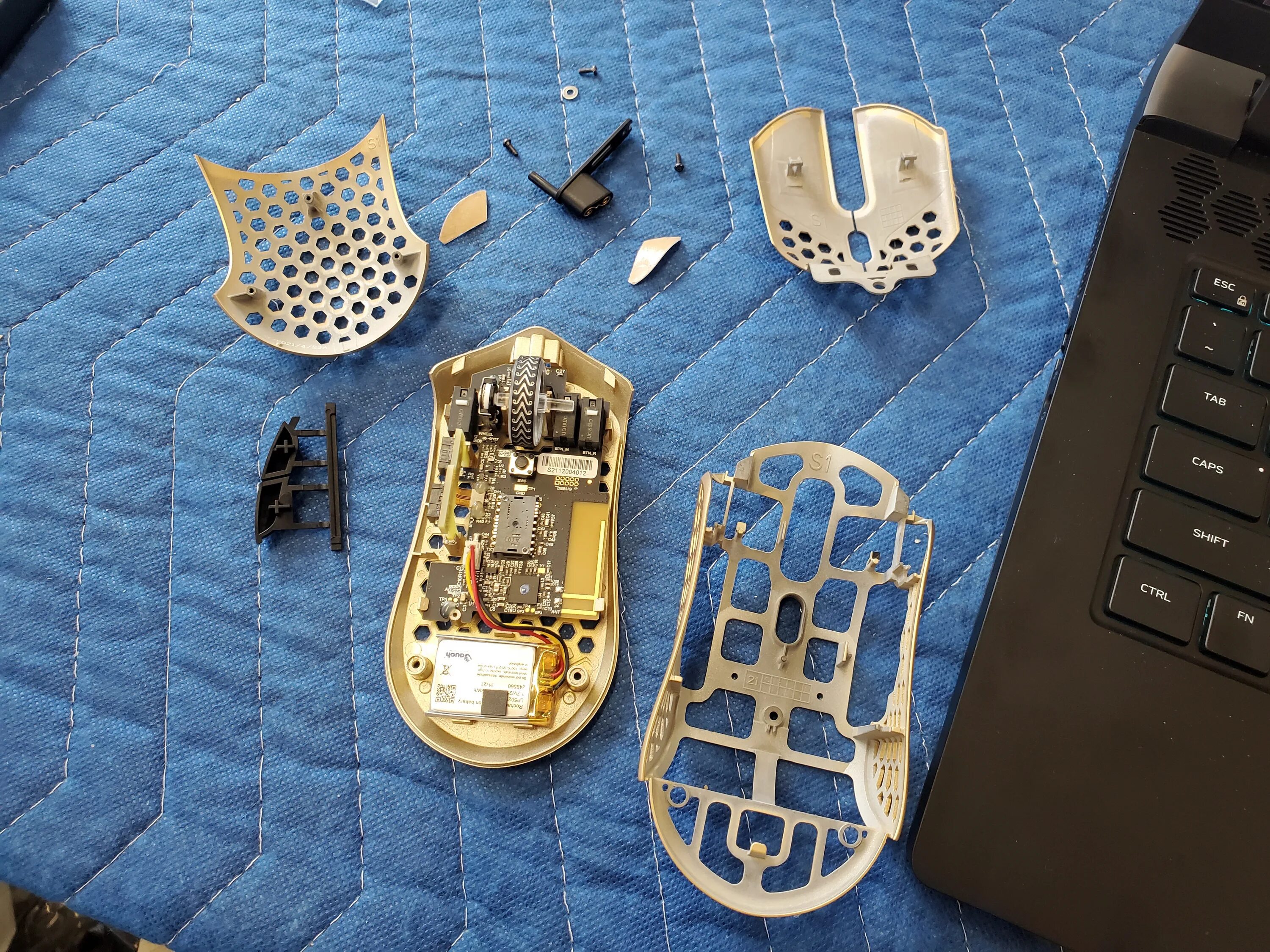 Final mouse starlight 12. Final mouse starlight 12