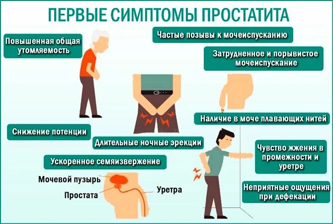 Сколько лечится простатит. Проявление простатита.