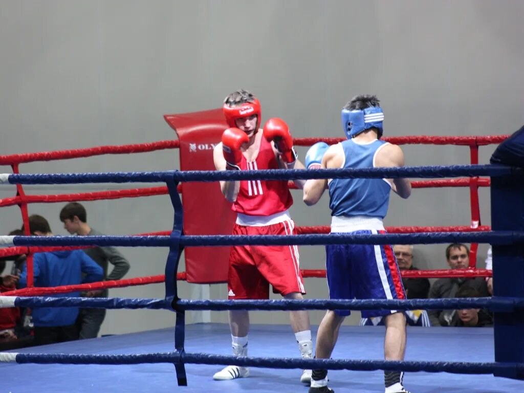 фок «золотые перчатки» в старом осколе. золотые перчатки соревнования по боксу. зал бокса поколение старый оскол. фок звездный старый оскол. бассейн золотые перчатки старый оскол.