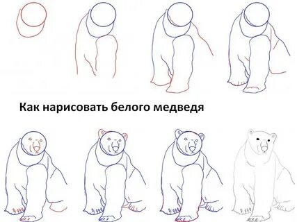 Как нарисовать белого мишку