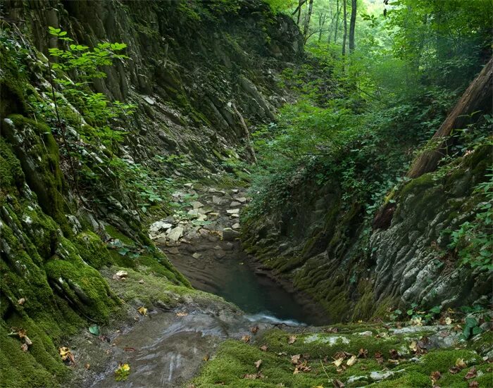 Долина псебе. Аул агуй-шапсуг краснодарский край. 33 метровый водопад туапсе. Аул псебе. Аул псебе.