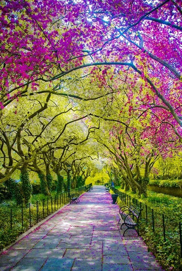 Spring central