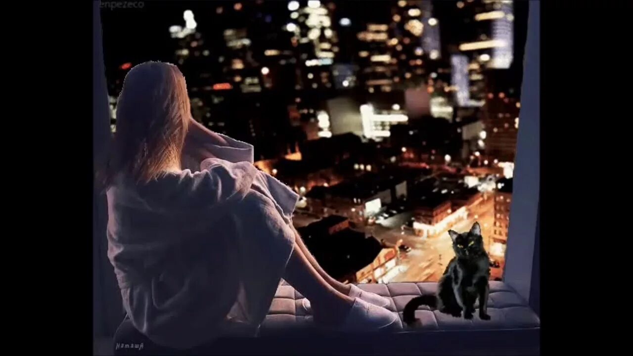Девушка и кот ночью. Девушка с котом на крыше. Девушка с котом у окна. Женщина с кошкой у окна.