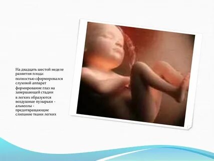 Шевеления плода 21 неделя