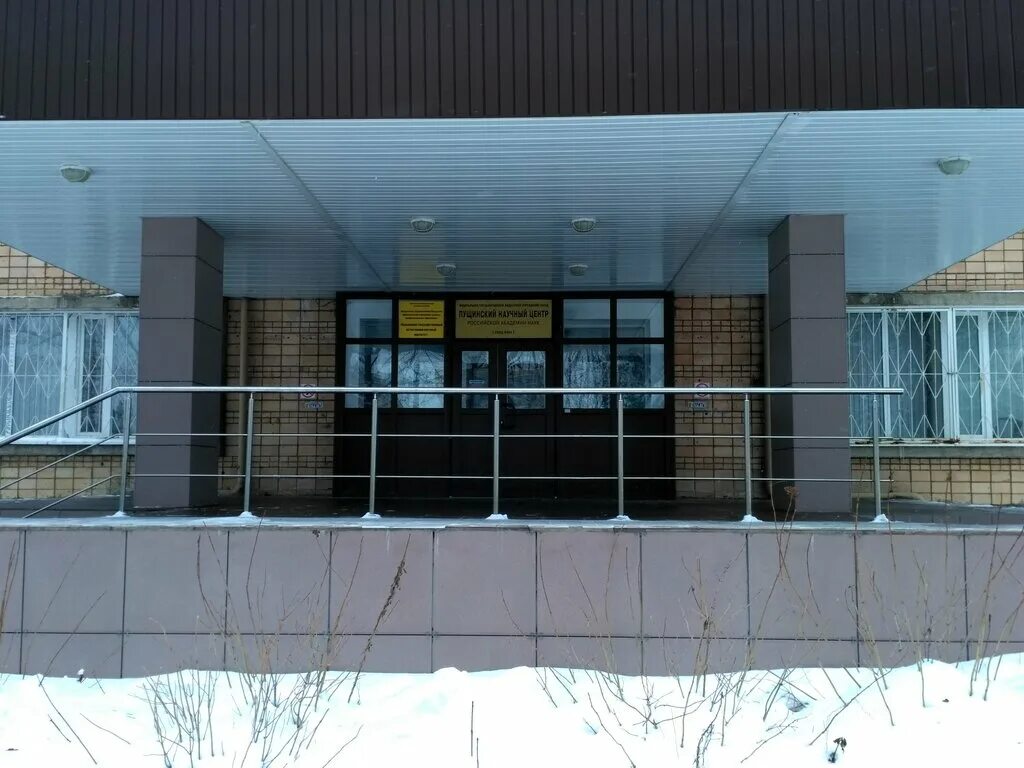 пущинский государственный естественно научный институт. институты в пущино московской области. пущинский государственный естественно научный институт. пущинский государственный естественно научный институт. приемная комиссия колледжа связи.