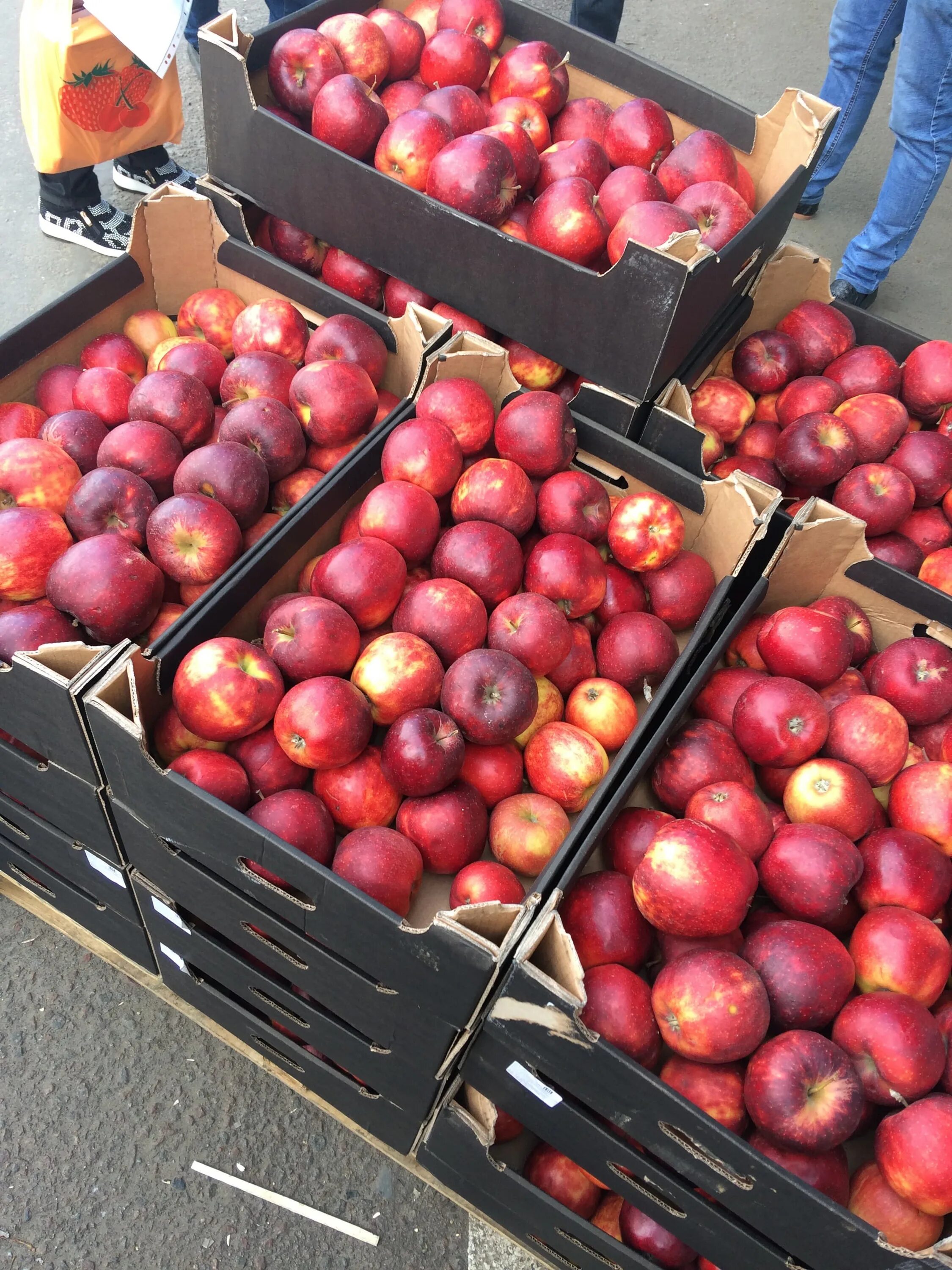 Сотрудники апл. Яблочные чипсы из кисло сладких яблок. Сбор яблок в саду. Тим кук партнер. Транспортировка фруктов.