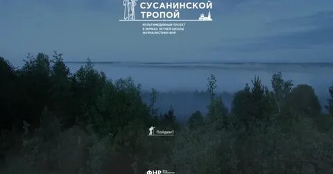 Лонгрид примеры