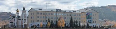 Песчанка чита
