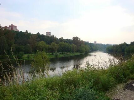 Пахра река реки москвы